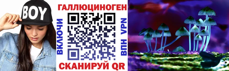 купить  цена  Островной  Псилоцибиновые грибы Psilocybe 